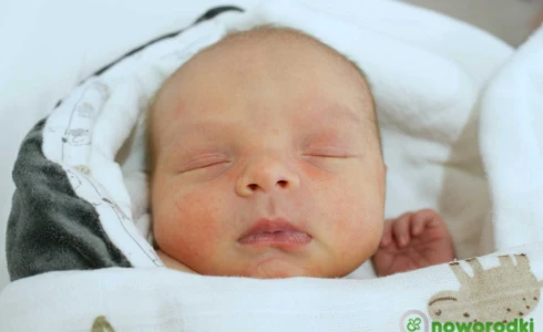 Ignacy<br>Antoni Cepok