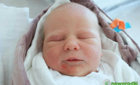 Olga<br>Alicja Pławny