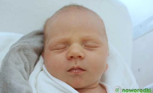 Albert<br>Eryk Witecki