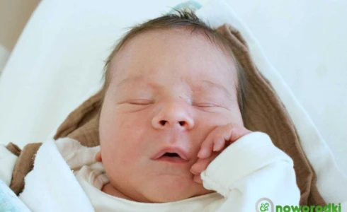 Aleksander<br>Zieliński