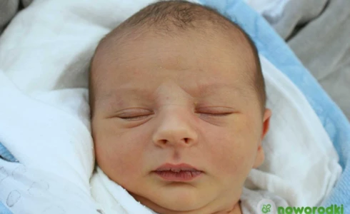 Albert<br>Andrzej Wajda