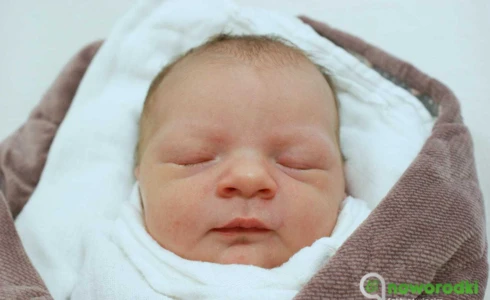 Małgorzata<br>Miksa