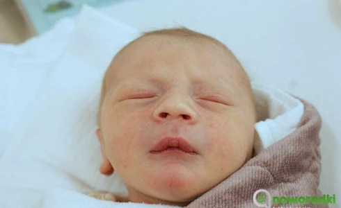 Aleksander<br>Żmuda