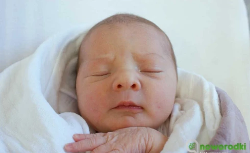 Alicja<br>Stanisławska