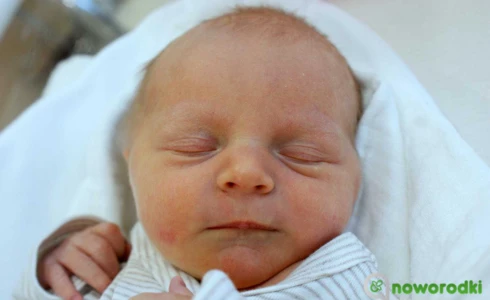 Antonina<br>Olszowska