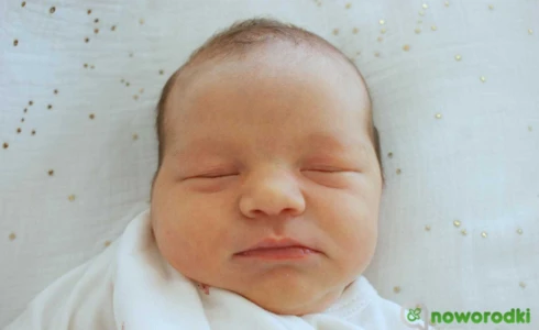 Jagódka<br>Stokłosa