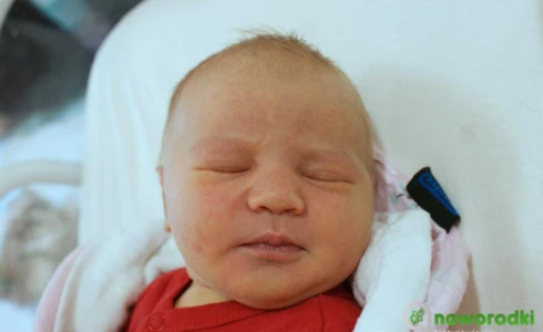 Anastazja<br>Dagmara Luranc