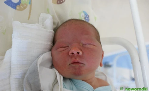 Dawid<br>Hulbój