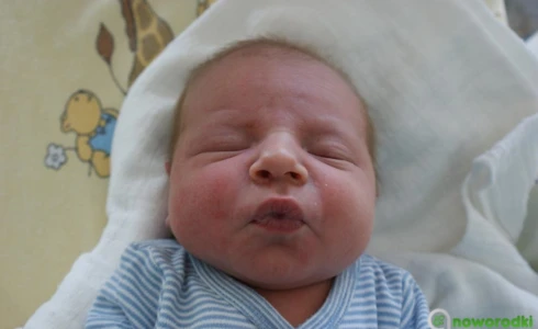 Stanisław<br>Gryzełko