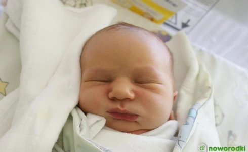 Aleksander<br>Jarząbek