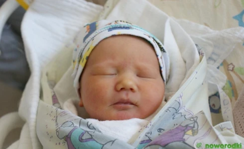 Sara<br>Bizoń