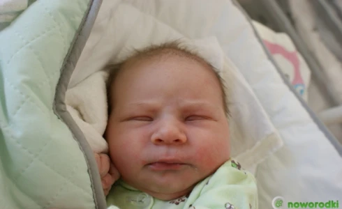 Emilia<br>Bąk
