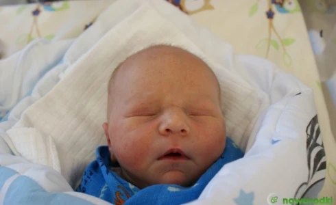 Aleksander<br>Czopek