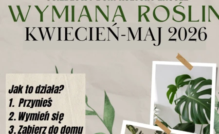 Wymiana roślin w ODK Zasole