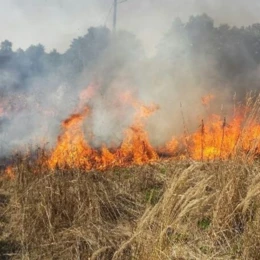 Podpalenia czy awaria hamulców?