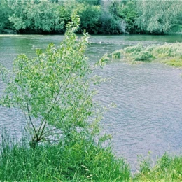 Zwłoki wędkarza w Babicach