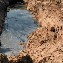 Alkohol i błoto to za dużo na jednego człowieka