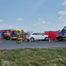 Śmiertelny wypadek na drodze krajowej. Nie żyje 75-letni mężczyzna - FOTO