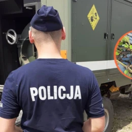 Ręczny granat znaleziony w gruzie - FOTO