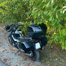 Sarna uderzyła w motocykl. Kierowca ranny, zwierzę nie przeżyło
