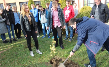 Dąb Niepodległości w Zaborzu - FOTO