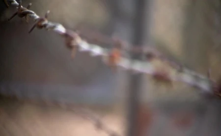 Heather Morris i wstrząsająca historia ""Tatuażysty z Auschwitz"" - FILM