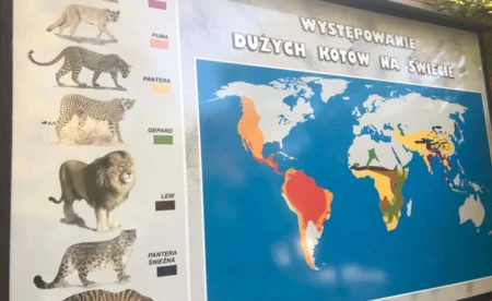 Młodzież z Dwójki w krakowskim ZOO - FOTO