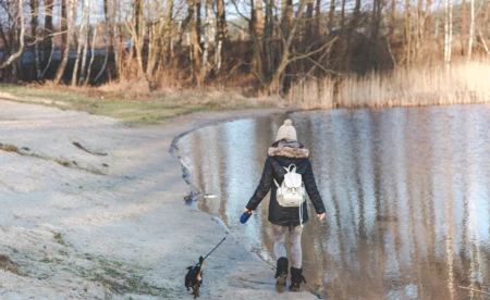 Pochmurny, chłodny dzień. Powieje silny wiatr