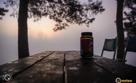 Oświęcim budzi się ze snu - FOTO