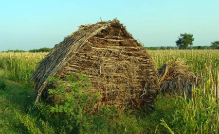 Wrzesień powita słońcem i deszczem