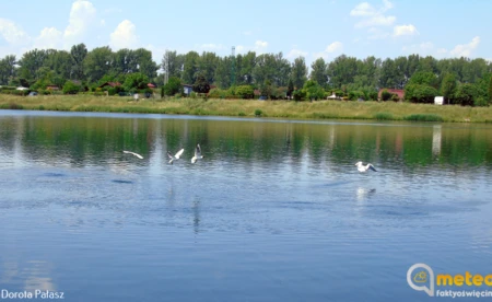 Słoneczna, gorąca sobota
