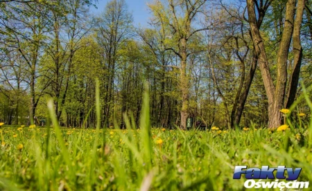 Środa zapowiada się pogodnie