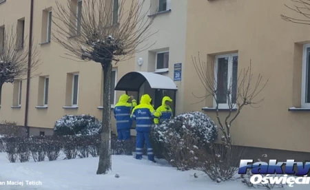 To nie przybysze z obcej planety