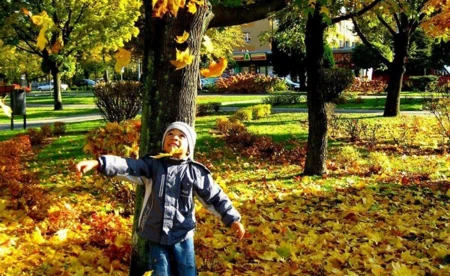 Jesień w powiecie oświęcimskim – FOTO