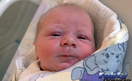 Witamy wśród nas 13 dziewcząt i dziewięciu chłopców - FOTO