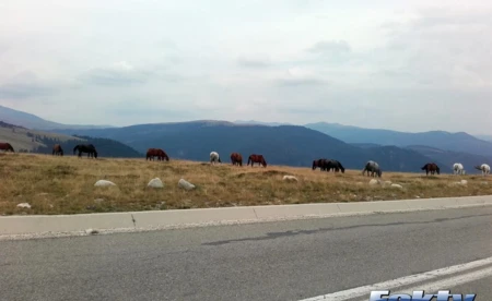 Z Nikolą i Tomkiem po Europie, część 9 - FOTO