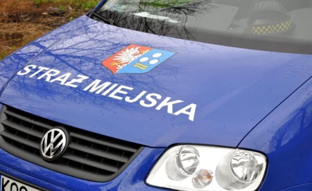 Śmieci po remoncie wywiózł do lasu