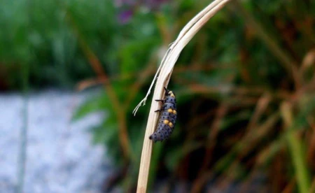 Prognoza pogody na najbliższe dni - FILMY