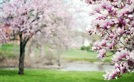 Pogoda na poniedziałek 6 czerwca - FILM