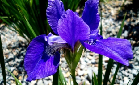 Prognoza pogody na poniedziałek