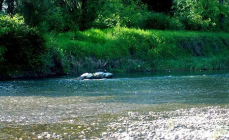 Prognoza pogody na weekend - FILMY