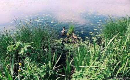 Prognoza pogody na początek majówki