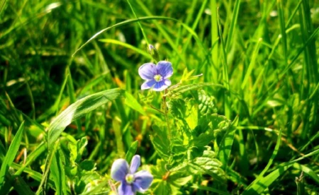 Poniedziałek pełny słońca