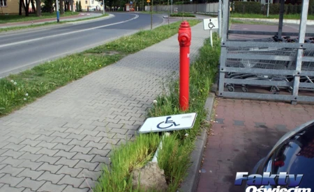 Śmieciarze i wandale