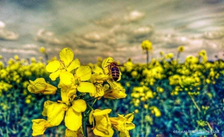 Początek tygodnia burzowy