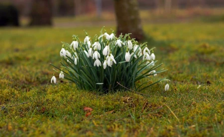Pogoda na poniedziałek