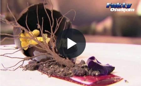 Jak powstaje czekolada?