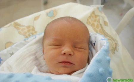 Sokole oko 14-letniej Mileny - FOTO