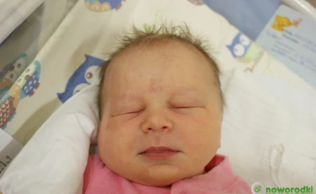 Można dużo zyskać inwestując w zabytki - FILM