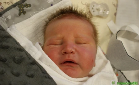 Filipińska księżniczka odwiedzi dom uchodźczy w Siedlcach 